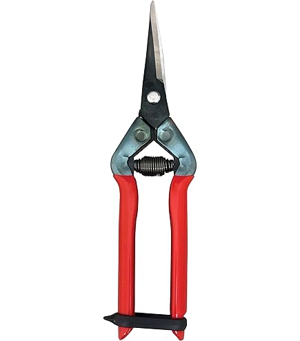 Amazon.com : CHIKAMASA T-55C Professional Gardening Shears